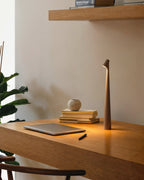 VersaLight Table Lamp