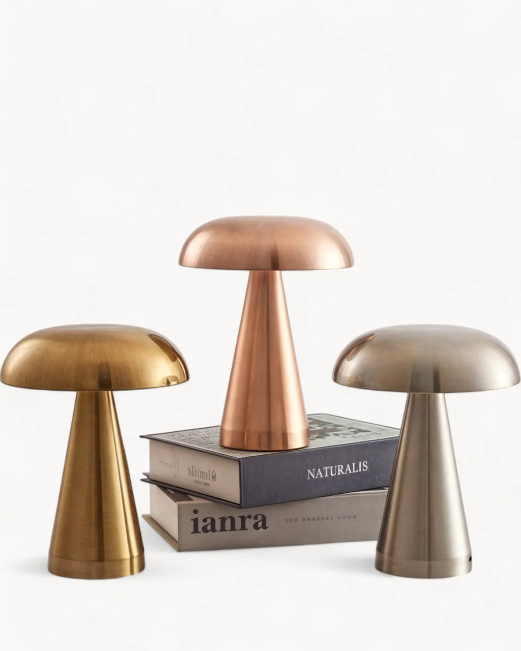 Vexpera Inox Rechargeable Mushroom Table Lamp